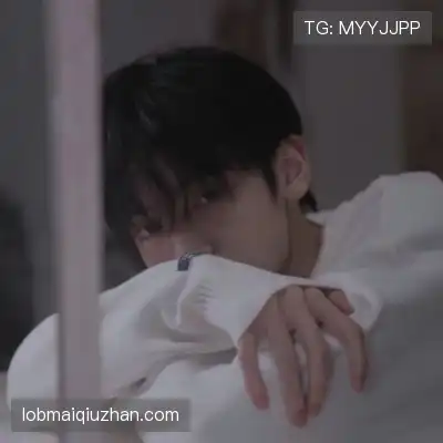 窦耿禹